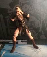 Shena (Prototype) Custom Action Figure