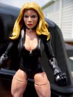 Dinah Lance - Black Canary (Legendary Comic Book Heroes) Custom Action Figure