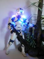 Clone Trooper (Star Wars Clone Wars) Custom Action Figure