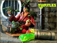 Tmnt Nickelodeon Hamato Yoshi /Splinter..SDCC Exclusive (Teenage Mutant Ninja Turtles) Custom Action Figure