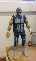Centella De Plata (RGV Texas Local Luchador) (Wrestling) Custom Action Figure