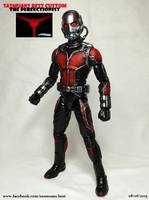 Ant-Man (Marvel Legends) Custom Action Figure