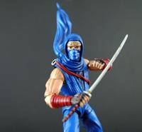 Ryu Hayabusa (Ninja Gaiden) Custom Action Figure