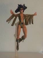 OWL WOMAN Wenonah Littlebird GLOBAL GUARDIANS: USA (DC Universe) Custom Action Figure