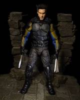 Wolverine DOFP movie (X-Men - Movies) Custom Action Figure