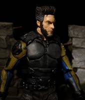 Wolverine DOFP movie (X-Men - Movies) Custom Action Figure