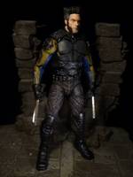 Wolverine DOFP movie (X-Men - Movies) Custom Action Figure