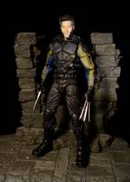 Wolverine DOFP movie (X-Men - Movies) Custom Action Figure