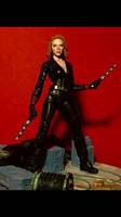 Black Widow AoU (Marvel Select) Custom Action Figure