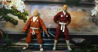Arashikage Masters (G.I. Joe) Custom Action Figure