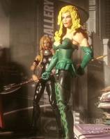 (Amora) The Enchantress (DC Direct) Custom Action Figure