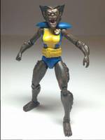 Marvel Universe Wolfsbane (Marvel Universe) Custom Action Figure