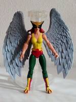HAWKWOMAN Shayera Hol Thanagar (DC Universe) Custom Action Figure