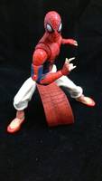 Spider-man India (Marvel Legends) Custom Action Figure