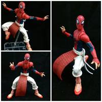Spider-man India (Marvel Legends) Custom Action Figure
