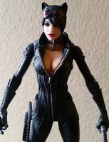 Catwoman (Batman - Arkham City) Custom Action Figure