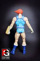 DCUC Lion-O V.2 (Thundercats) Custom Action Figure