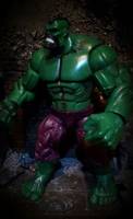 Hulk (Marvel Legends) Custom Action Figure