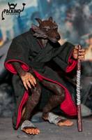 Master Splinter TMNT (Teenage Mutant Ninja Turtles) Custom Action Figure
