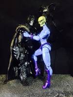 Lady Skeletor (Masters of the Universe) Custom Action Figure