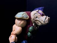 Rocksteady & bebop (Teenage Mutant Ninja Turtles) Custom Action Figure
