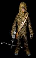 Black series Chewbacca repaint (Star Wars) Custom Action Figure
