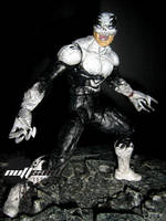 The Haunt (Image) Custom Action Figure