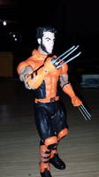 Wolverine (X-Men: Evolution) (X-Men) Custom Action Figure