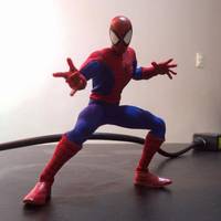 Spider-Man (One:12 Collective) Custom Action Figure