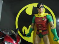 Robin (Batman) Custom Action Figure