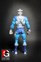 DCUC Bengali Thundercats (Thundercats) Custom Action Figure