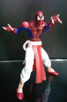 spider-man india (Marvel Legends) Custom Action Figure