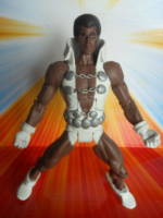 Tyroc (DC Universe) Custom Action Figure