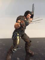 Wolverine (Marvel Select) Custom Action Figure