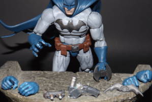 Batman vers VI (DC Universe) Custom Action Figure [accessories]