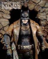 Knightmare Batman (BvS) (DC Universe) Custom Action Figure