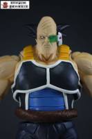 toteppo/ Borgos (Dragonball Z) Custom Action Figure