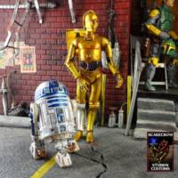 C-3po & R2-d2 (Star Wars) Custom Action Figure
