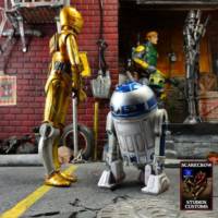 C-3po & R2-d2 (Star Wars) Custom Action Figure