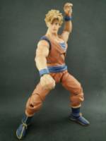 Son Goku real version (Dragonball Z) Custom Action Figure