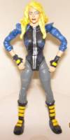 Black Canary (DC Universe) Custom Action Figure