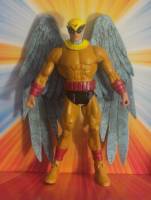 BIRDMAN Ray Randall (DC Universe) Custom Action Figure