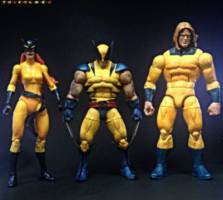 Wolverine (90's Tiger Stripe Stylized) (Marvel Legends) Custom Action Figure