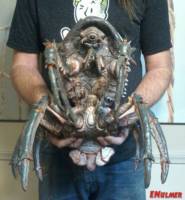 Fallout 4 Mirelurk Queen (Fallout) Custom Action Figure