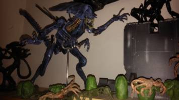 xenomorph facehuggers an d eggs (Aliens) Custom Action Figure