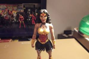 Warrior Wonder Woman (DC Universe) Custom Action Figure