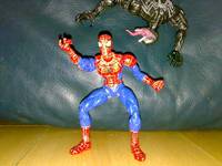 SpiderMan (Spider-Man - Movie) Custom Action Figure