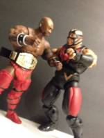 Horde General Vader (Wrestling) Custom Action Figure