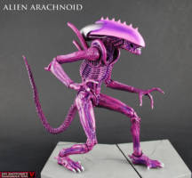 Alien Arachnoid (Alien vs Predator) Custom Action Figure