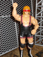 Owen Hart (Wrestling) Custom Action Figure